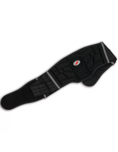 ZANDONA KIDNEY BELT