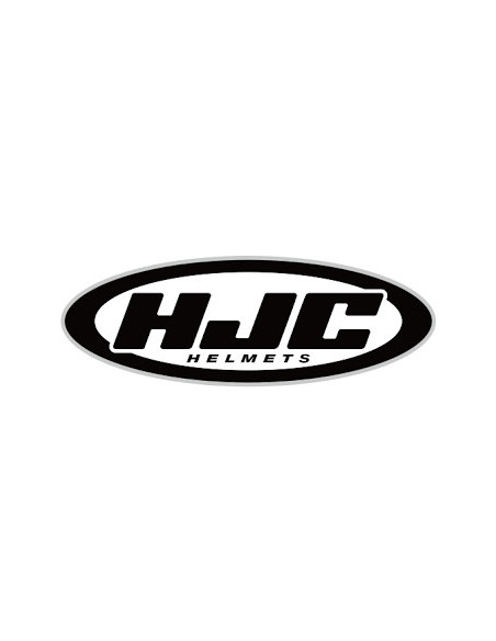 HJC i100 LIGHTLY TINTED GLASS