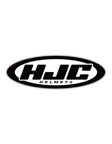 HJC i100 TINTED GLASS