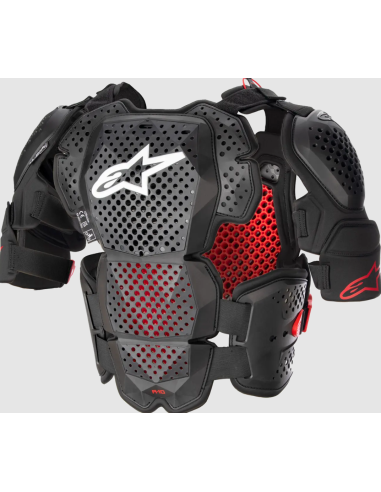ALPINESTARS A-10 V2 ЧЕРНЫЙ МОТОБРОНЯ